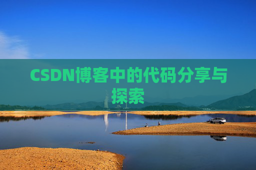 CSDN博客中的代码分享与探索